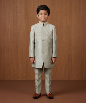 Sage Green Colour Indo Western(BE-BINW_9024)