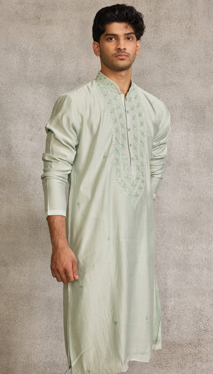 Pista Colour Kurta Set(ME-MKUS_6445)