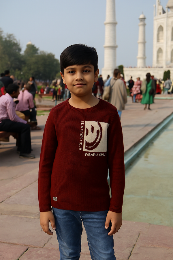 Maroon Colour T-Shirt(BC-BTSH_7527)