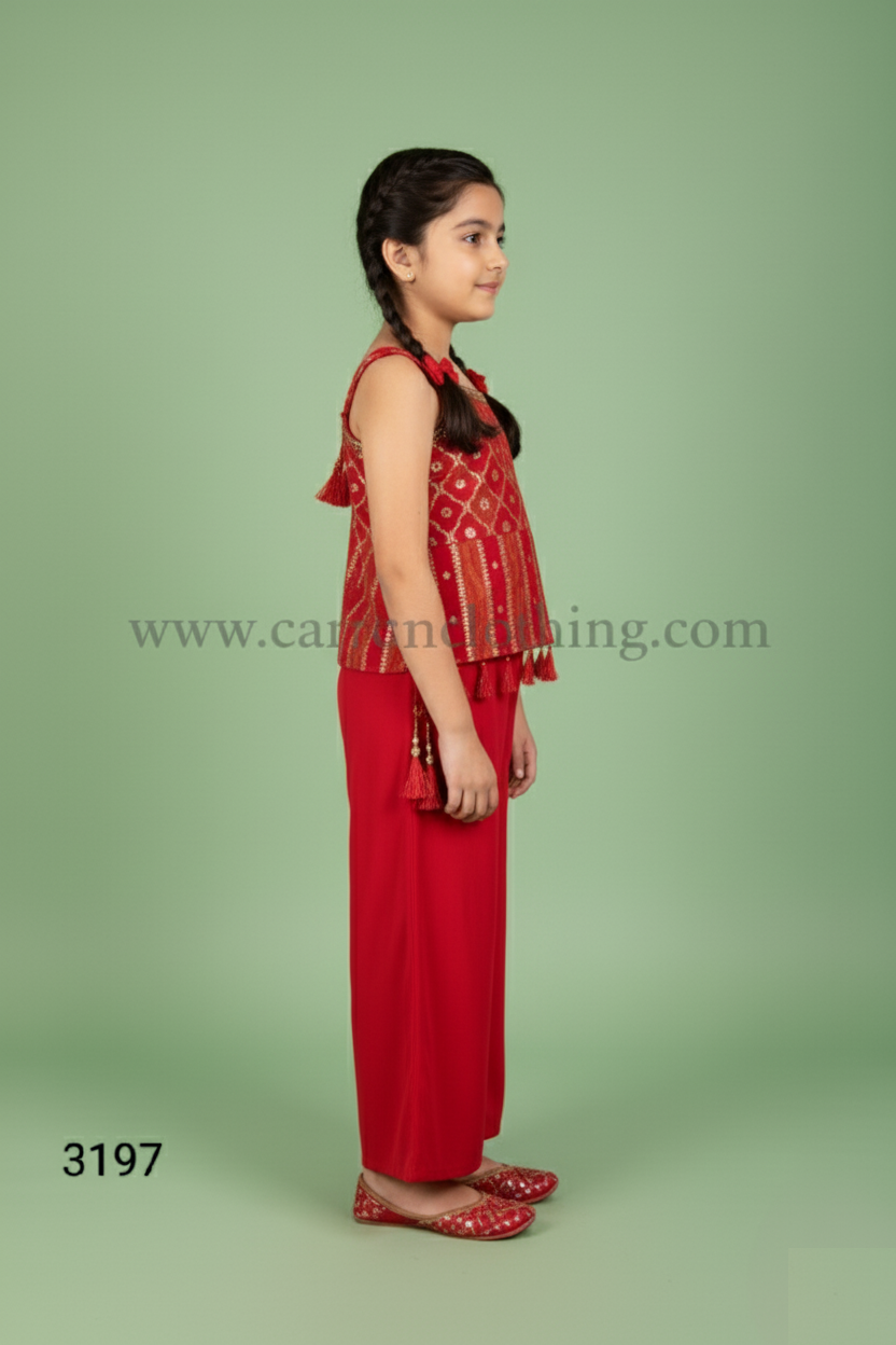 Rani Colour Plazo Set(GE-GPZS_3197)