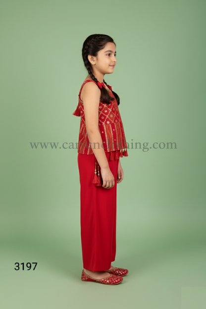 Rani Colour Plazo Set(GE-GPZS_3197)