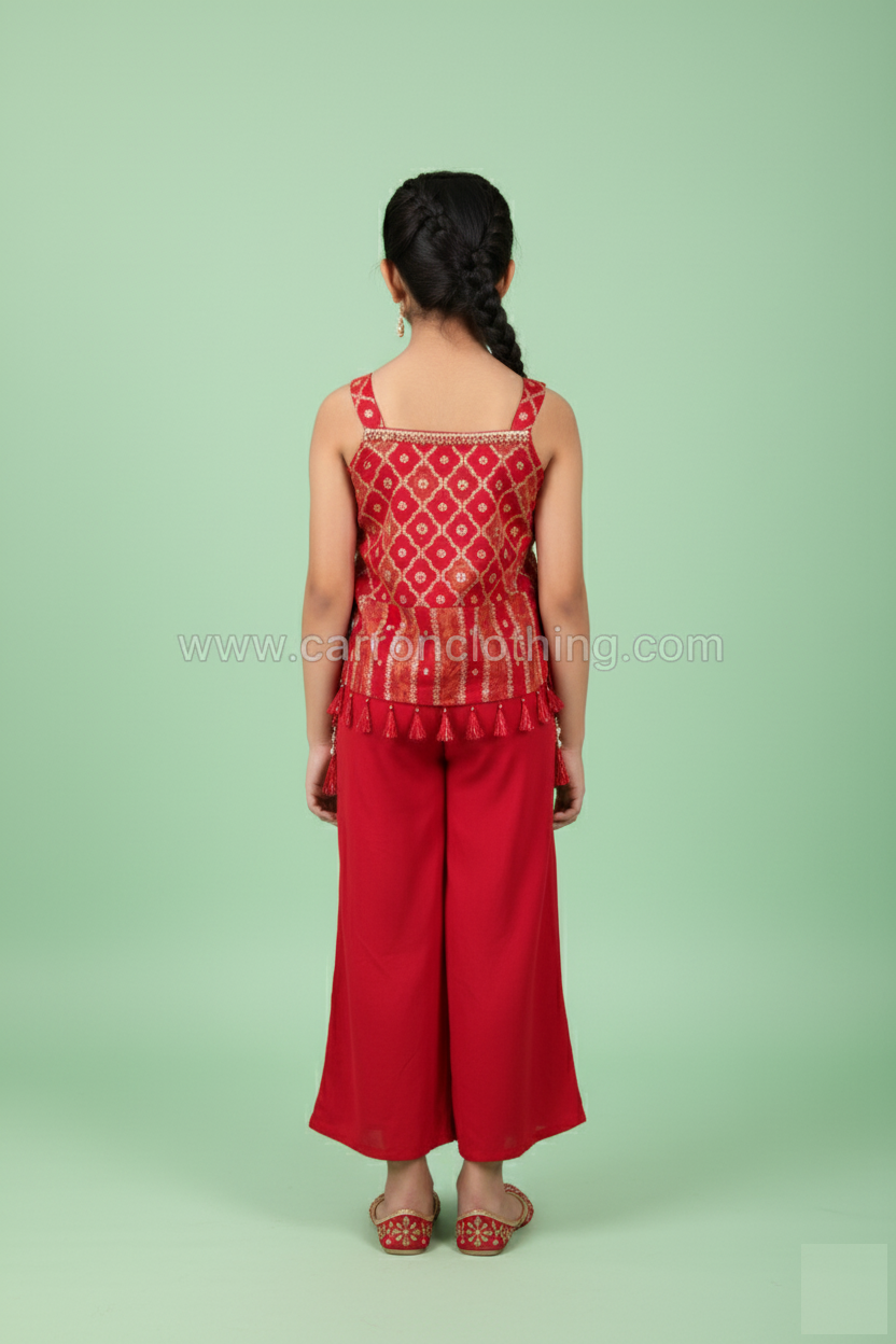 Rani Colour Plazo Set(GE-GPZS_3197)