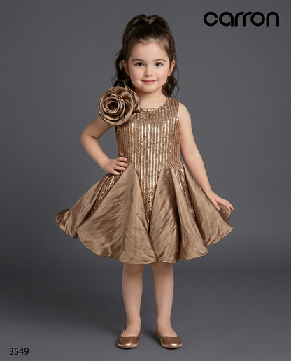 Brown Colour Party Frock(GE-GFRP_3549)