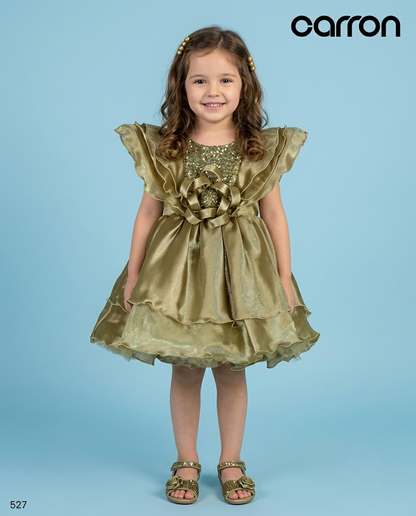 Mehandi Green Colour Party Frock(GE-GFRP_527)