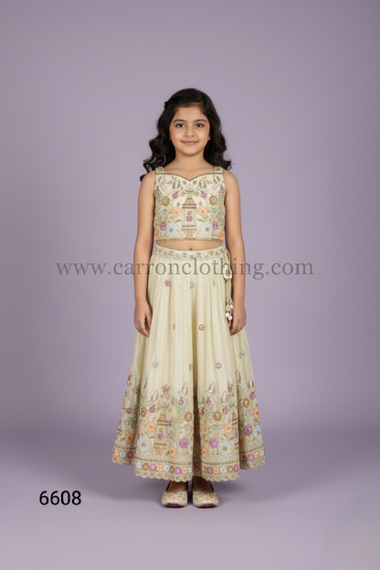 Chickoo Colour Ghaghra Choli(GE-GGHC_6608)