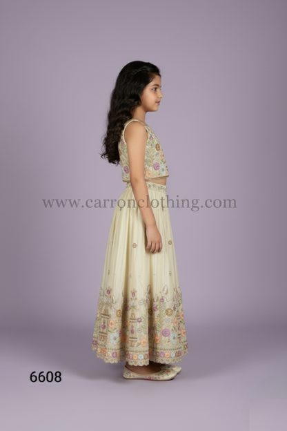 Chickoo Colour Ghaghra Choli(GE-GGHC_6608)