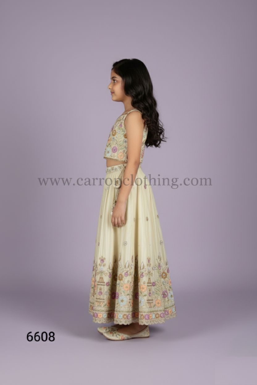 Chickoo Colour Ghaghra Choli(GE-GGHC_6608)