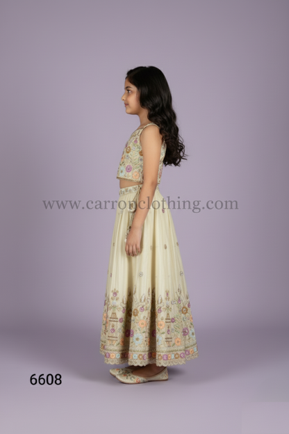 Chickoo Colour Ghaghra Choli(GE-GGHC_6608)