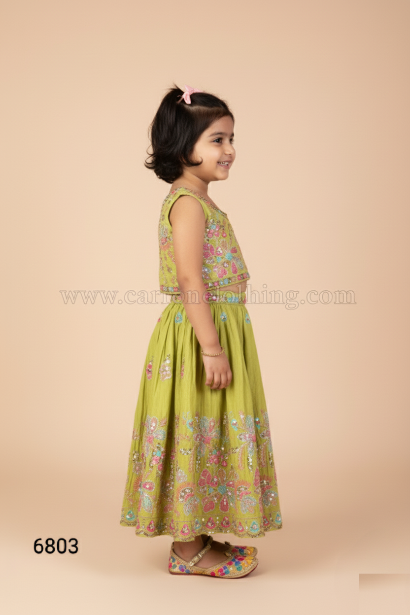 Green Colour Ghaghra Choli(GE-GGHC_6803)