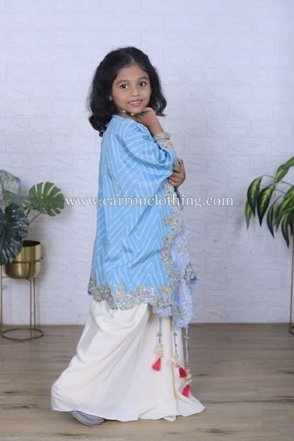 Rani Colour Chudidar(GE-GCHU_6164)