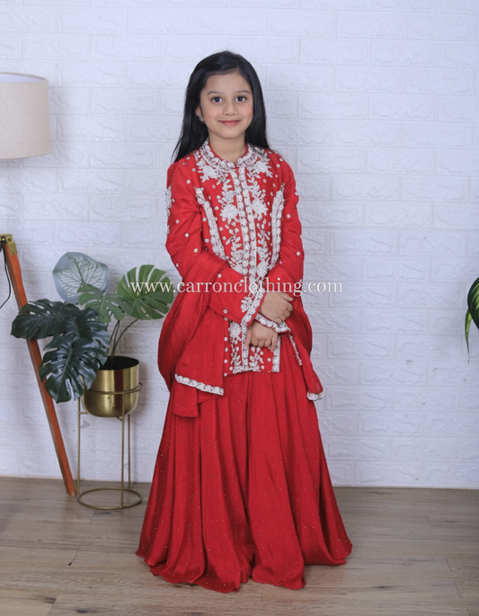 Rani Colour Plazo Set (GE-GPZS_3107)