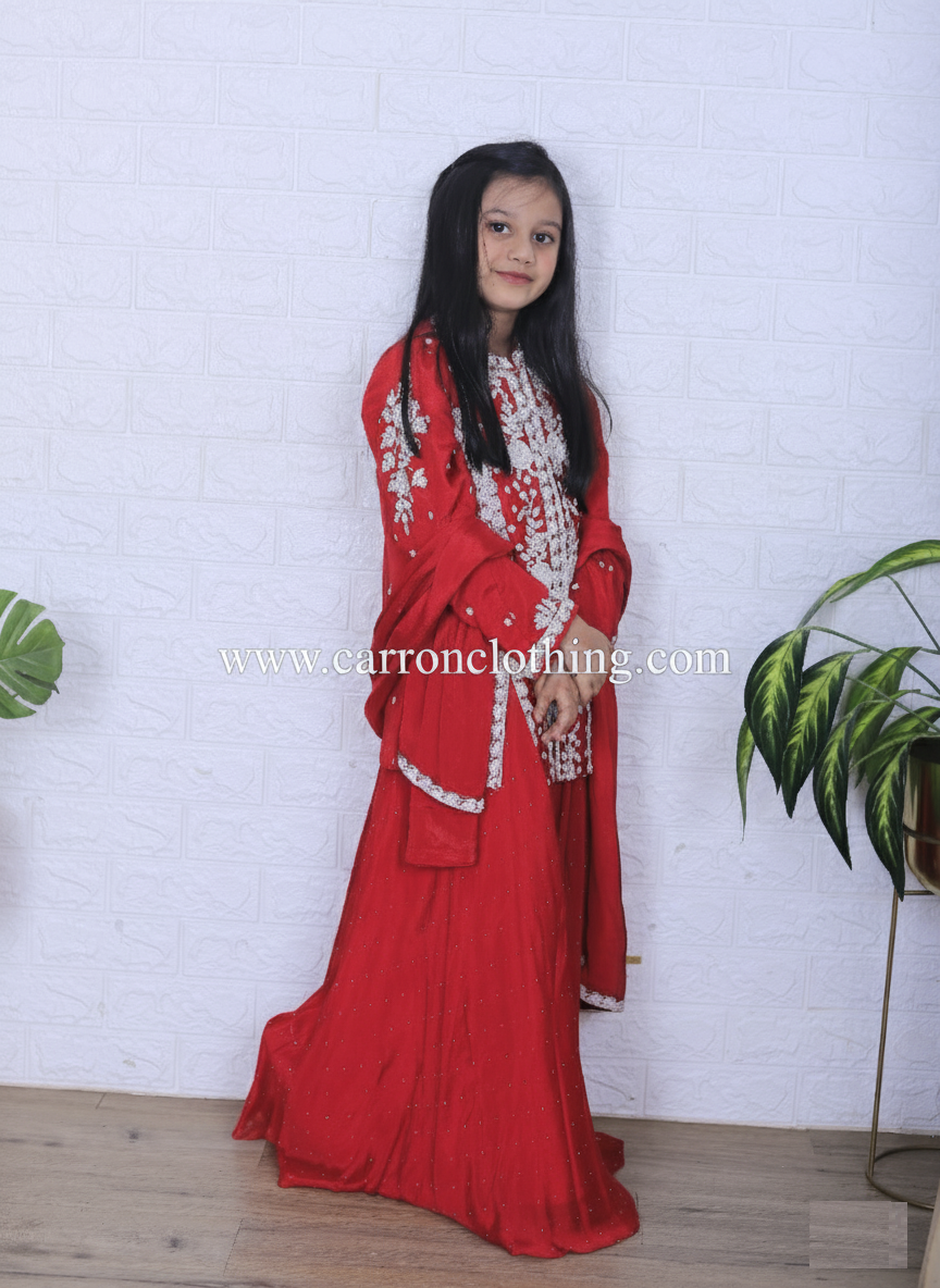 Rani Colour Plazo Set (GE-GPZS_3107)