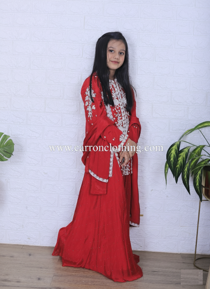 Rani Colour Plazo Set (GE-GPZS_3107)