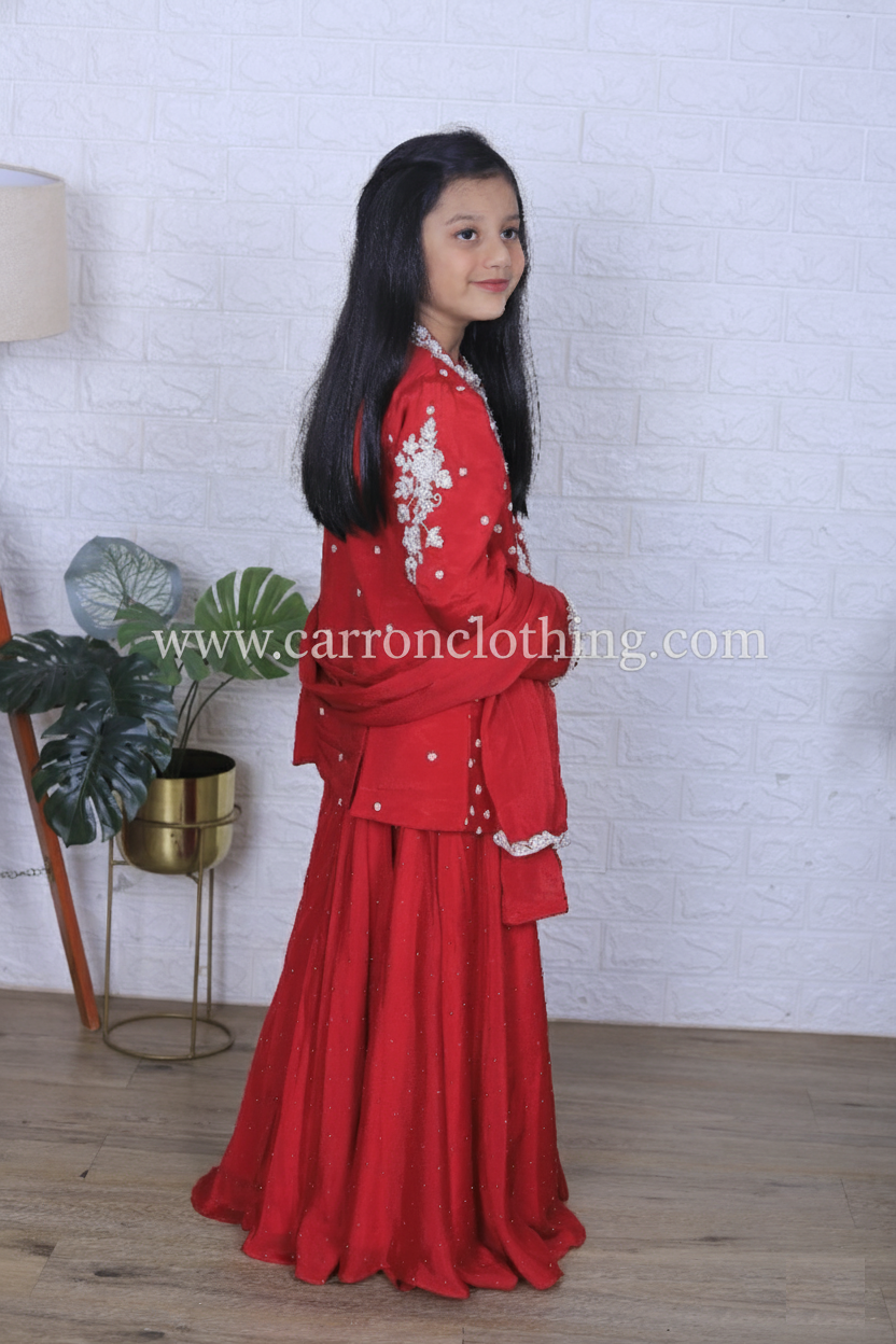 Rani Colour Plazo Set (GE-GPZS_3107)