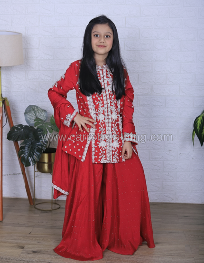 Rani Colour Plazo Set (GE-GPZS_3107)