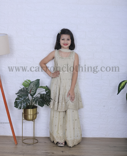 Fawn Colour Plazo Set(GE-GPZS_6166)