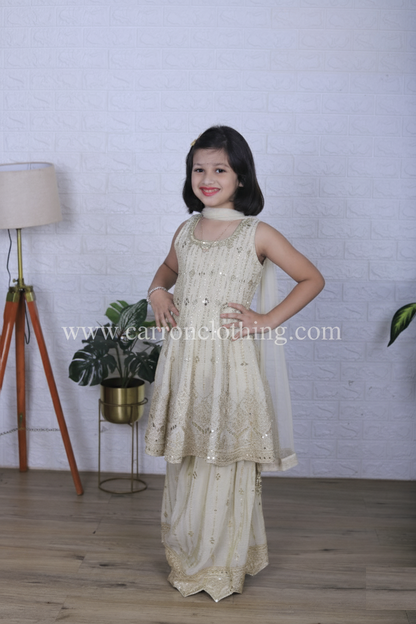 Fawn Colour Plazo Set(GE-GPZS_6166)