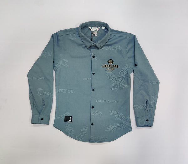 Grey Colour Shirt(BC-BSHC_6932)