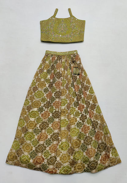 Green Colour Ghaghra Choli(GE-GGHC_5174)