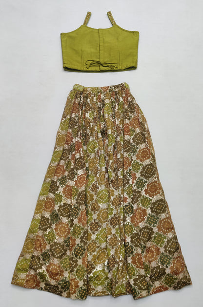 Green Colour Ghaghra Choli(GE-GGHC_5174)