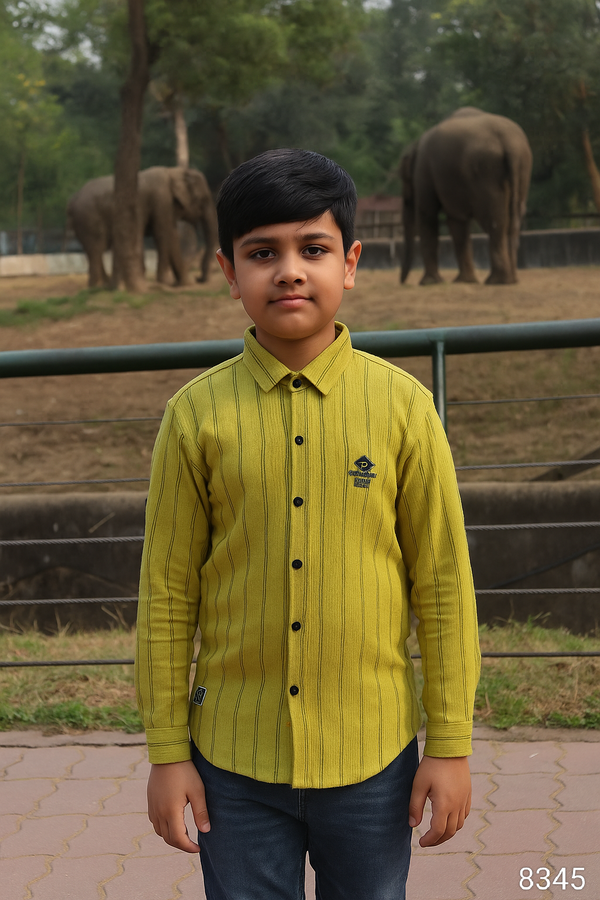 Chutni Green Colour Shirt(BC-BSHC_8345)