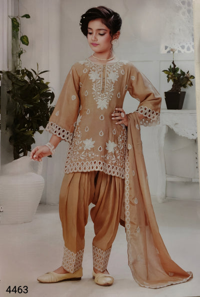 Fawn Colour Chudidar(GE-GCHU_4463)