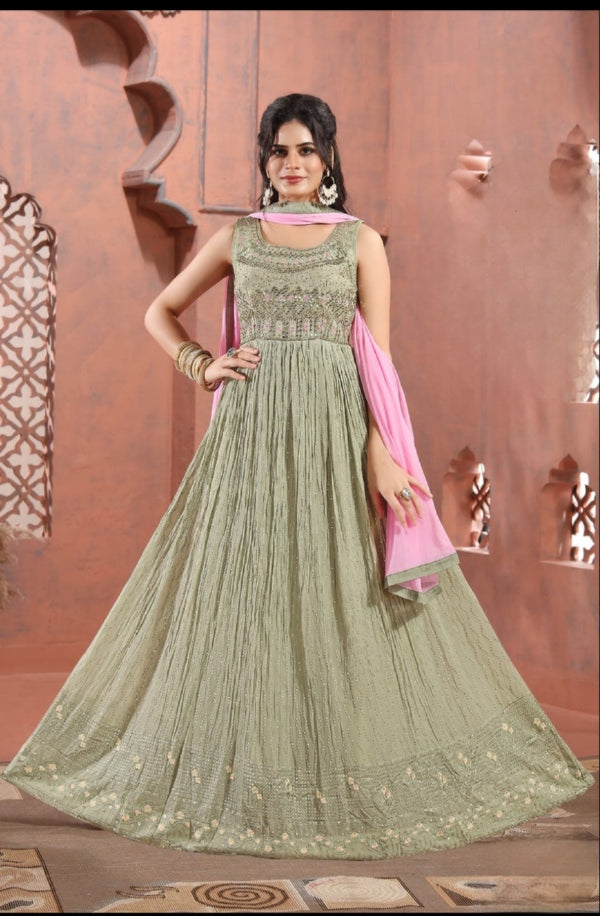 Pista Colour Anarkali Gown(LE-03_2250)