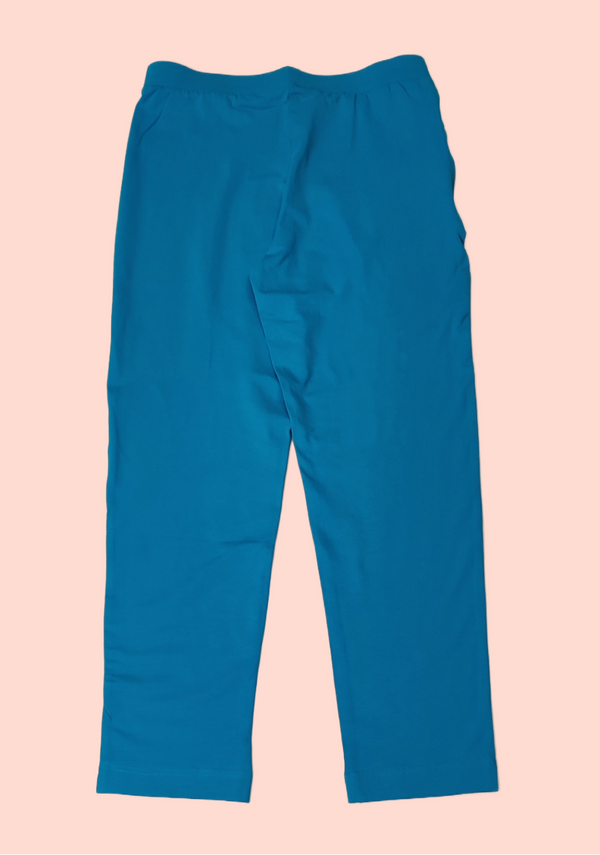 Trunk Blue Colour Pant(LE-WPNS_Stylo Pant)