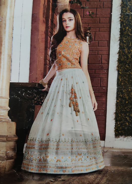 Orange Colour Ghaghra Choli(GE-GGHC_5014)