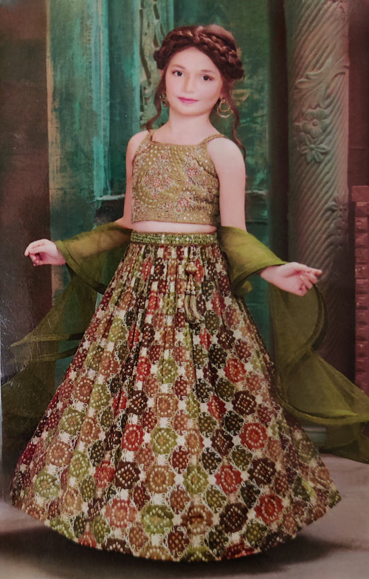 Green Colour Ghaghra Choli(GE-GGHC_5174)