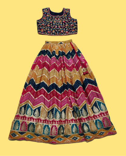 Rani Colour Ghaghra Choli(GE-GGHC_1531)