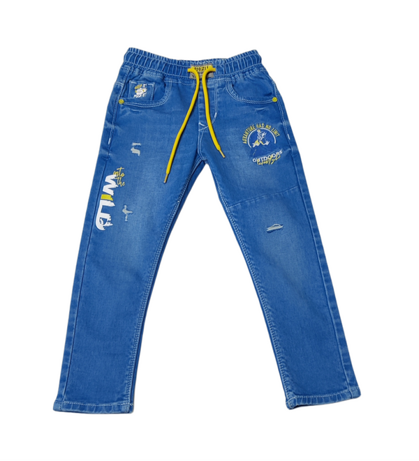 Blue Colour Jeans(BC-BJNS_3502)