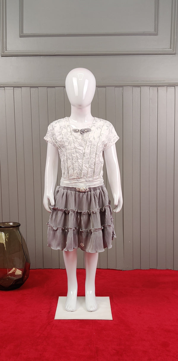 Grey Colour Skirt Blouse(GC-GSKT_1194)