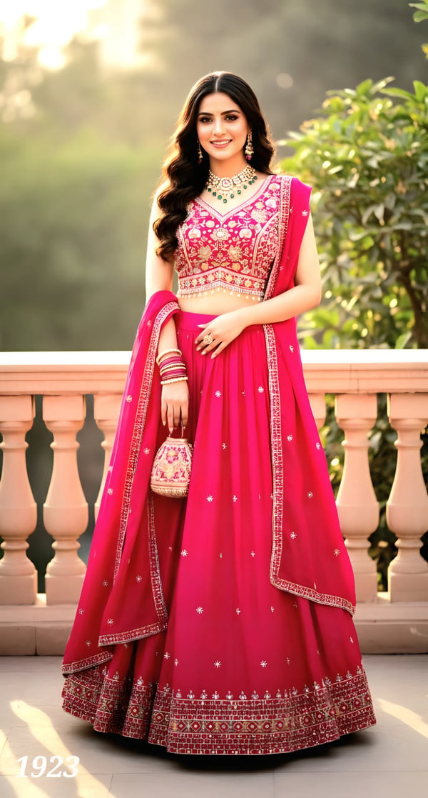 Rani Colour Ghaghra Choli(LE-WGHC_1923)